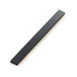 Pin Headers Female 2.54mm : 40-Pin, Straight, Black, 11mm