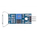 Reed Switch Module